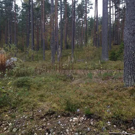 Feriehus Kultainen Kaava