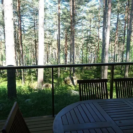 Kultainen Kaava Padasjoki