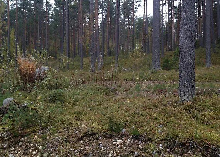 Casa vacanze Kultainen Kaava